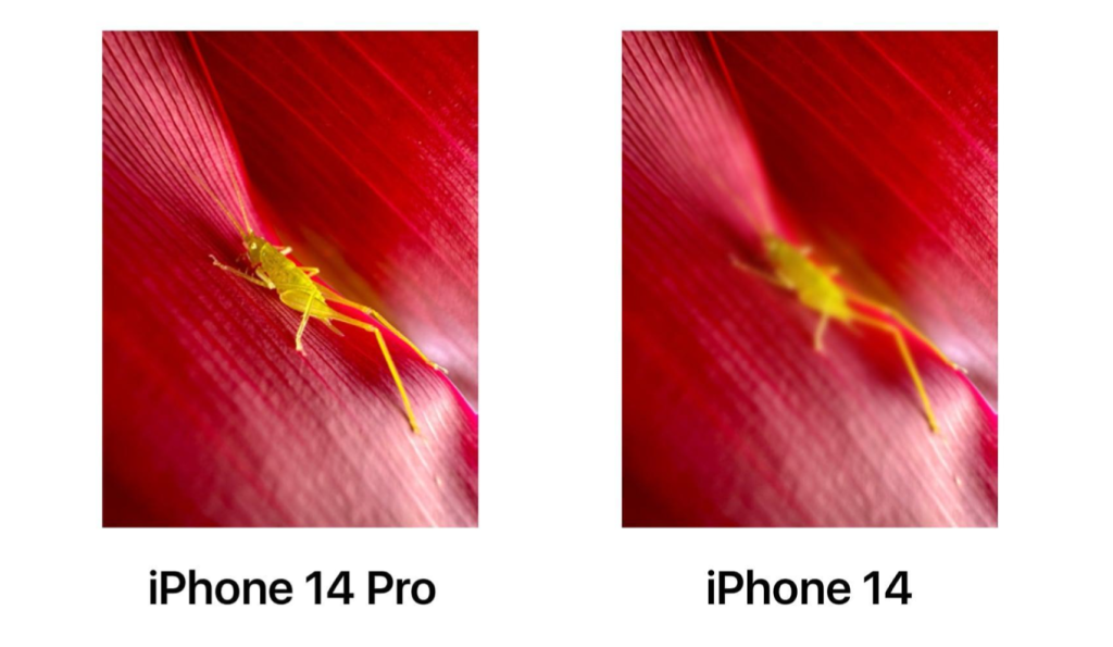 گوشی موبایل اپل مدل iphone 14 Pro دو سیم کارت ظرفیت 256 گیگابایت و 6 گیگابایت رم 2