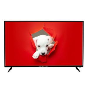 تلویزیون ال ای دی پانورامیک PA-50SD377 سایز 50