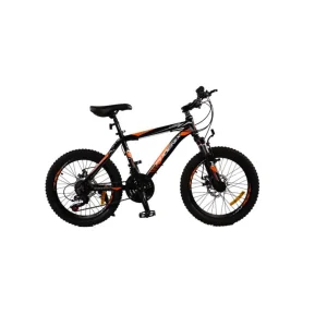 دوچرخه کودک و نوجوان PHOENIX zk20 100 سایز 20