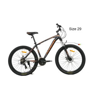 دوچرخه PHOENIX zk200-01(APEX) سایز 29
