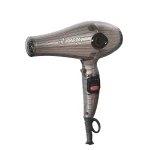 سشوار حرفه ای پرومارون RL-8804