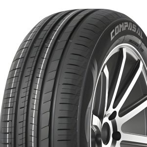 لاستیک خودرو پژوپارس کامپاسال سایز ۲۰۵/۶۰/۱۴ - دو حلقه