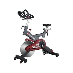 دوچرخه اسپینینگ دیادورا 1313