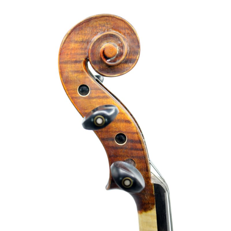 گوشی و مارپیچ ویولن مولر Muller 1420 سایز 4/4