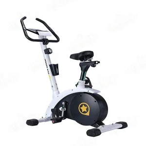 دوچرخه ثابت ایستاده لیدر اسپرت ۶۲۶۰