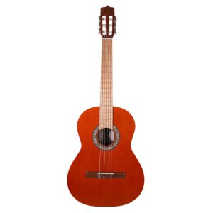 گیتار پارسی P40