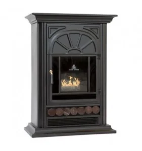 بخاری گازی جهان افروز JCF 200 Woodex