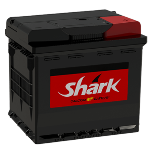باتری 50 آمپر تیپ L1 شارک