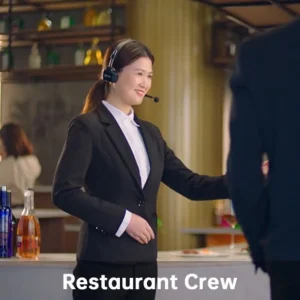 هدست بلوتوثی هالی لند Hollyland Solidcom C1-6S Full