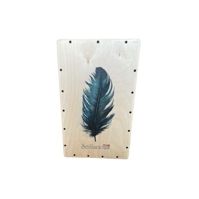 کاخن سلاریوس پلاس 10 سیم