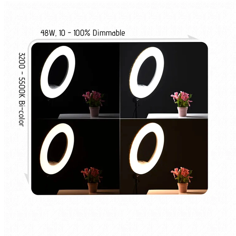 رینگ لایت ایدوبلو نوردهی