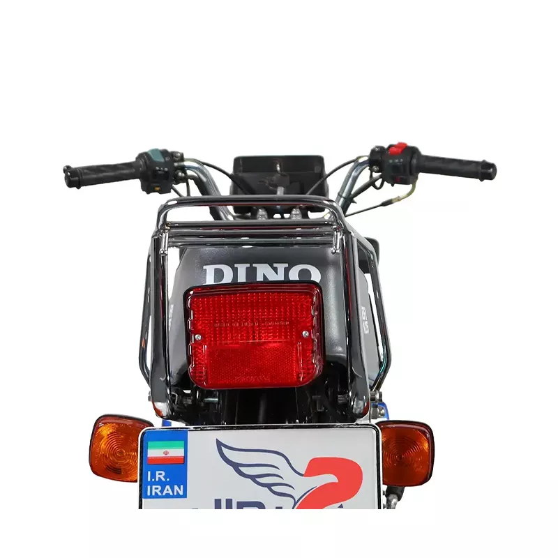 موتور سیکلت دینو 125 صفر 1403 از عقب