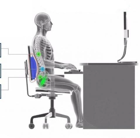 پشت کمری مموری فوم مدل لبه دار رایا