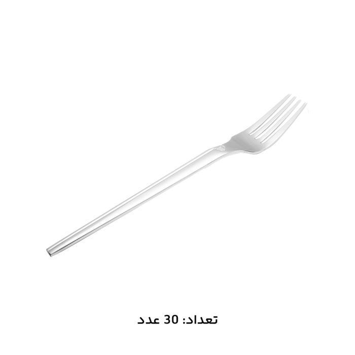 چنگال غذا خوری سرویس قاشق و چنگال 147 پارچه - کد 1013M-cs-MGS