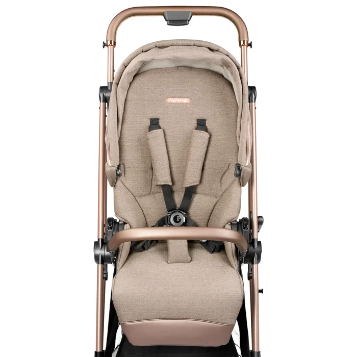 ست کالسکه کریر و ساک لوازم پگ پرگو ویواچه Peg Perego Vivace Mon Amour