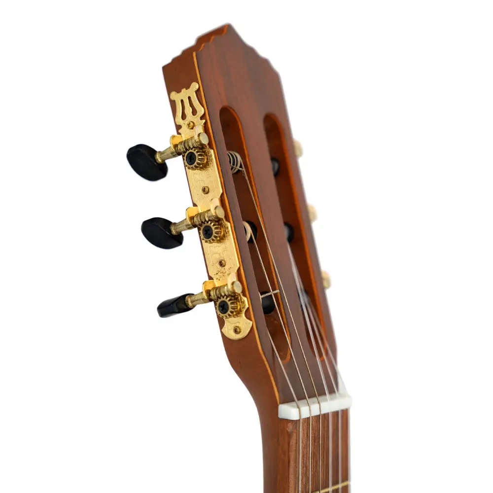 گیتار کلاسیک پارسی Parsi M6