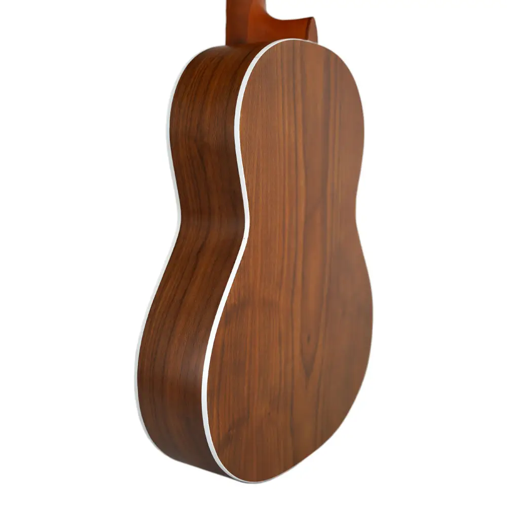 گیتار کلاسیک پارسی Parsi M6