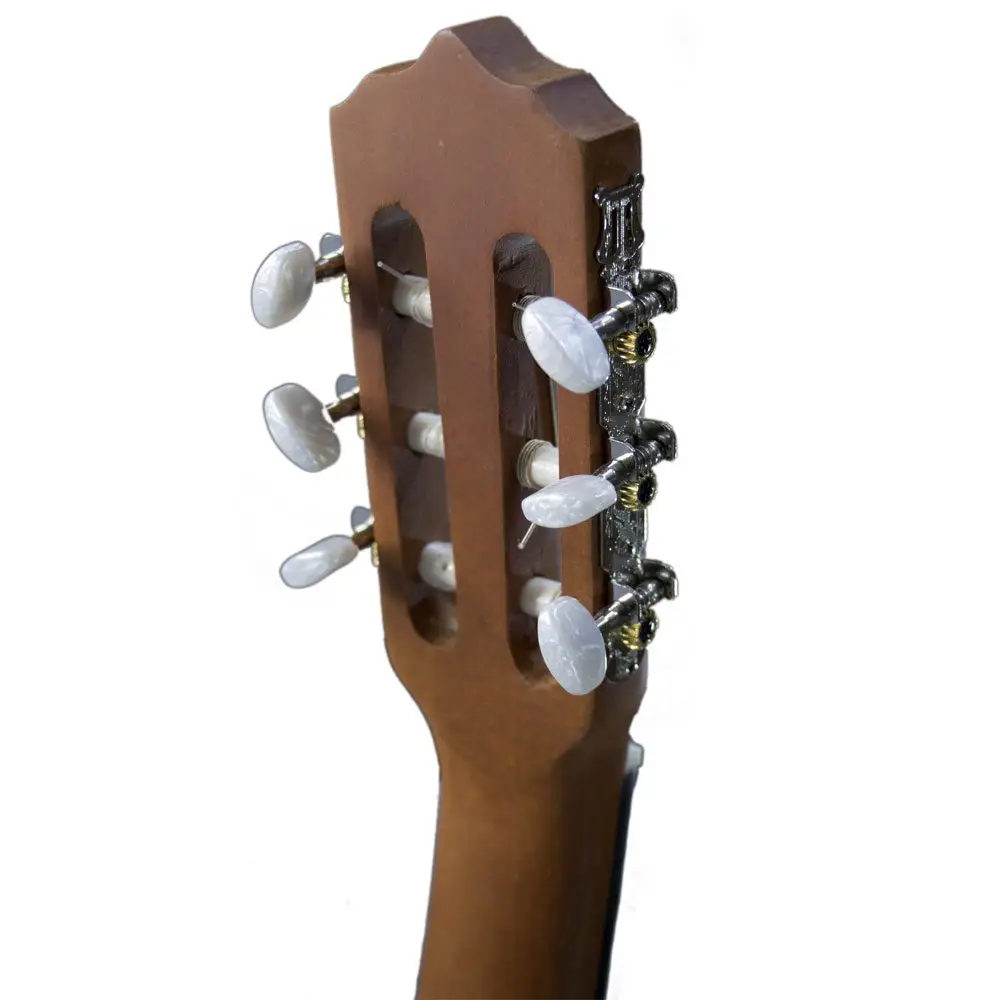 گیتار کلاسیک پارسی Parsi M2