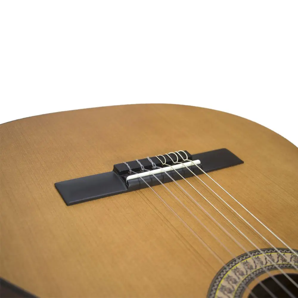 گیتار کلاسیک پارسی Parsi M2