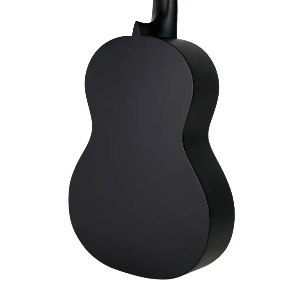 گیتار کلاسیک پارسی M4