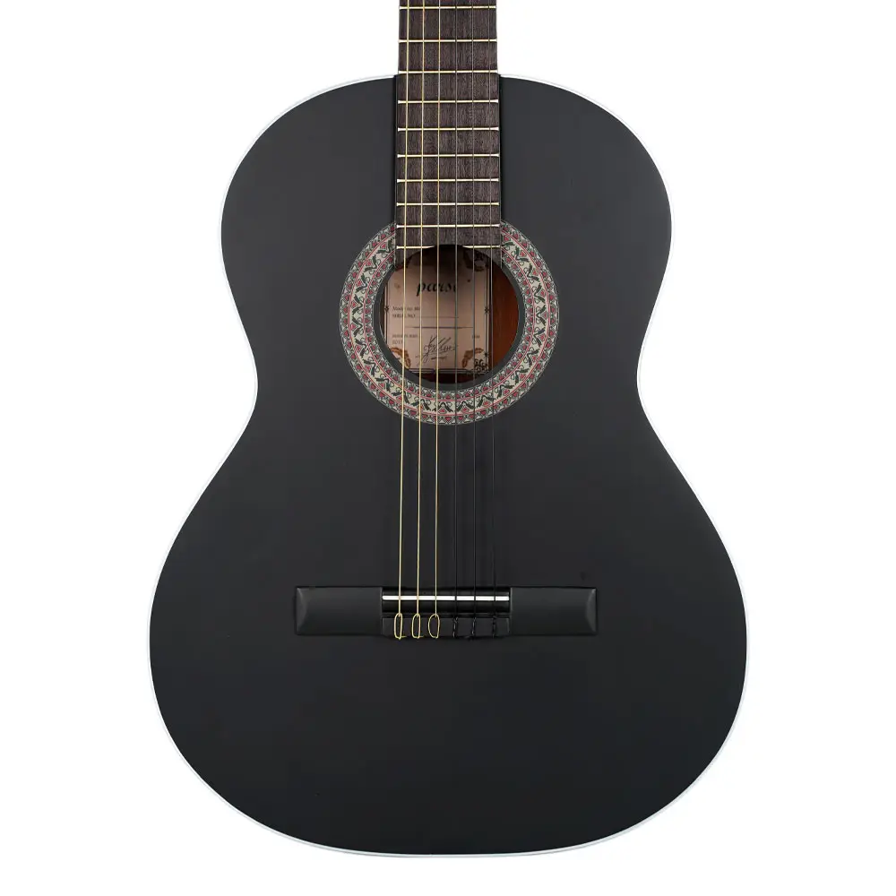 گیتار کلاسیک پارسی M4