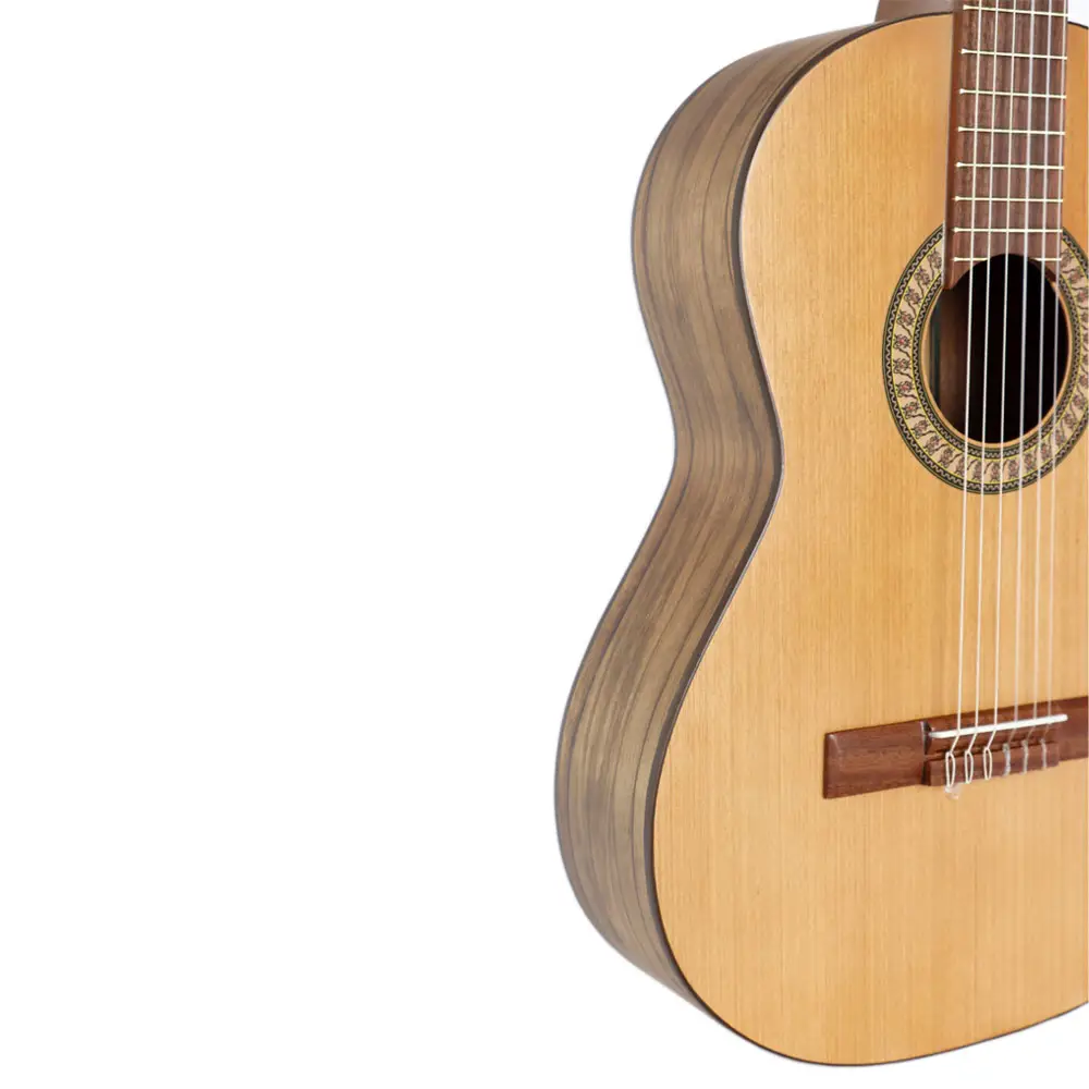 گیتار پارسی P70