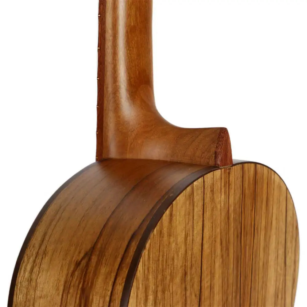 گیتار پارسی P70