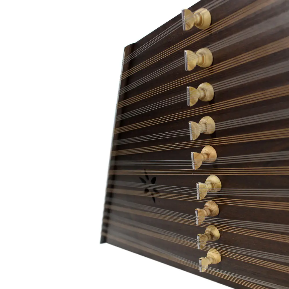 سنتور موسوی یک مهر ویژه