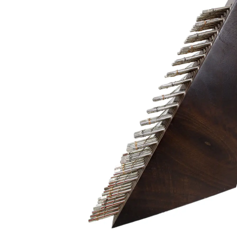 سنتور موسوی یک مهر ویژه