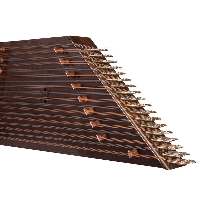 سنتور حمید موسوی تک مهر