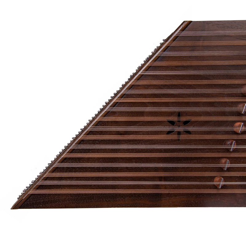 سنتور حمید موسوی تک مهر