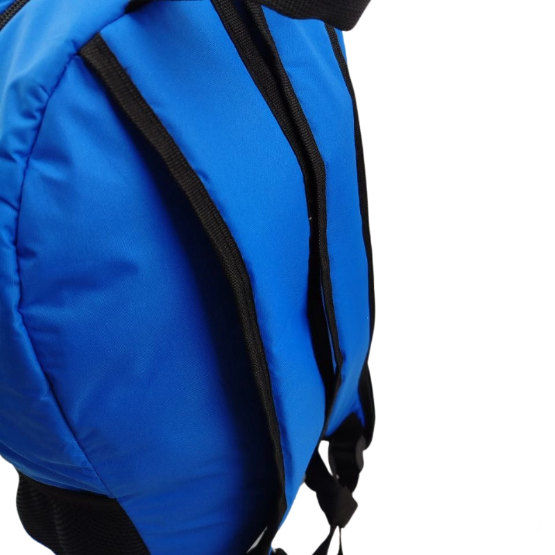 کوله ورزشی و مدرسه ای ریباک