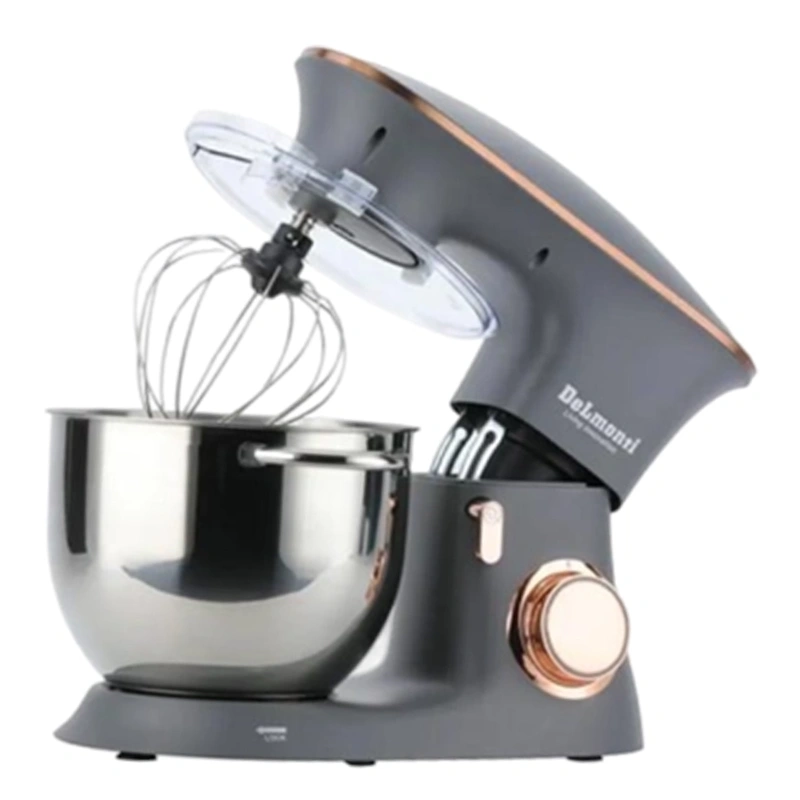 همزن حرفهای دلمونتی مدل DL150