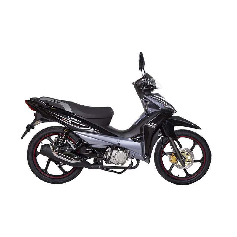موتور سیکلت لیفان PK 135 ترمز دیسکی ریموت دار Black
