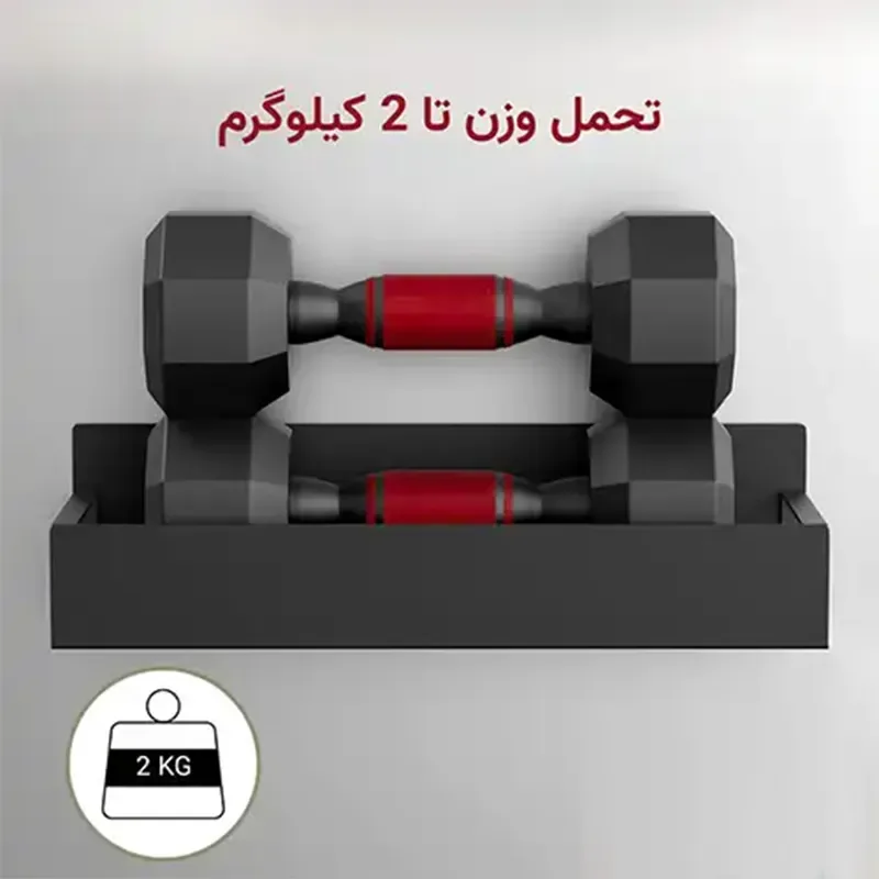 نظم دهنده مگنتی دو عددی لازا مدل KT-MS-09 Black