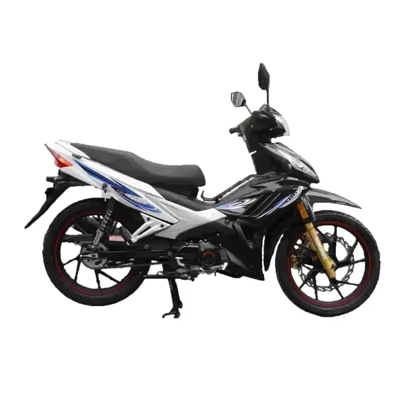 موتور سیکلت زمرد کویر مدل CITY125 ترمز دیسکی CBS هوا خنک سال 1405 Black